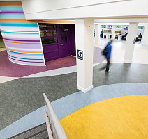 Forbo Marmoleum Decibel on Order 382835 blue heaven фото 3 | FLOORDEALER